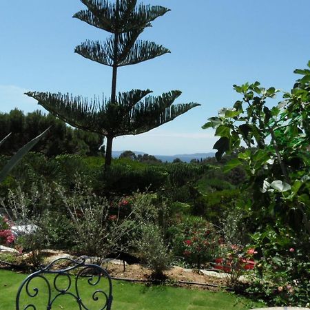 Villa Carpe Diem Le Lavandou Exterior foto