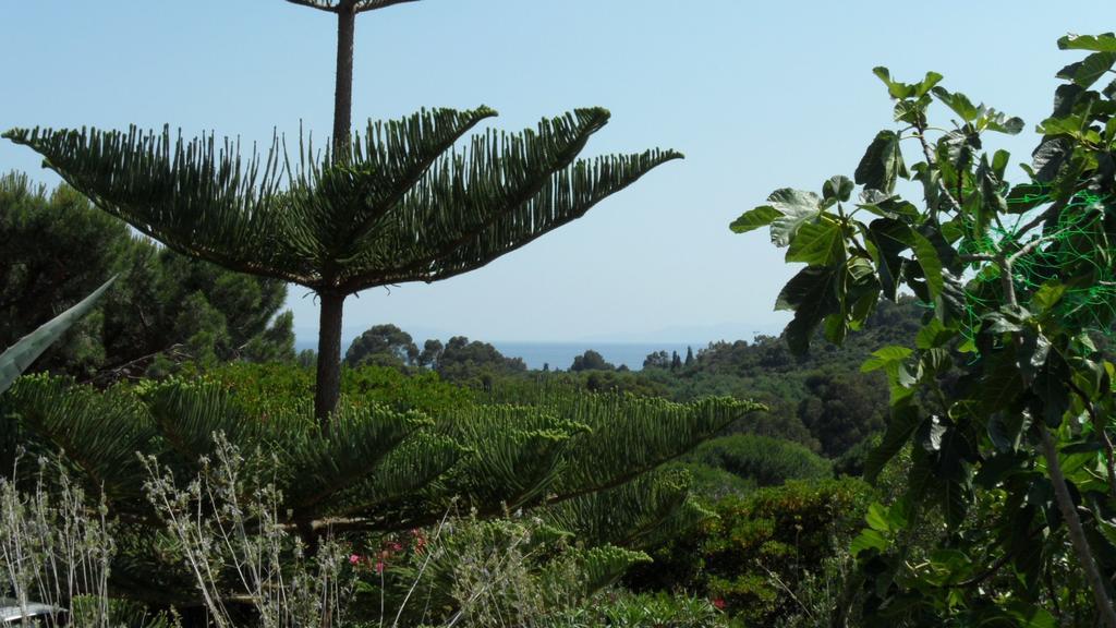 Villa Carpe Diem Le Lavandou Quarto foto