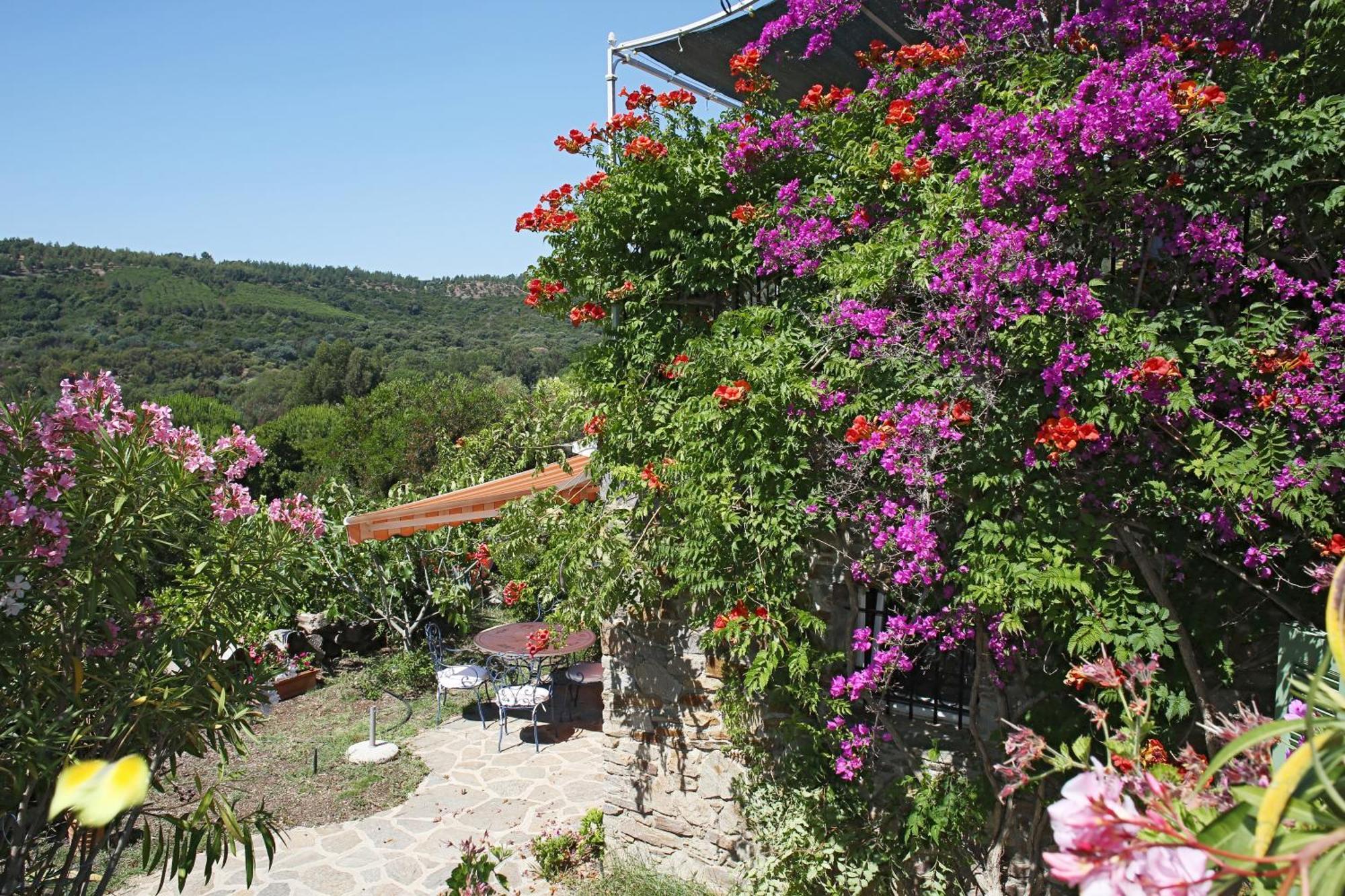 Villa Carpe Diem Le Lavandou Exterior foto